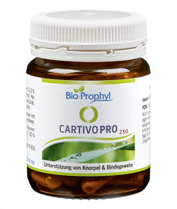 Cartivo-Pro 250