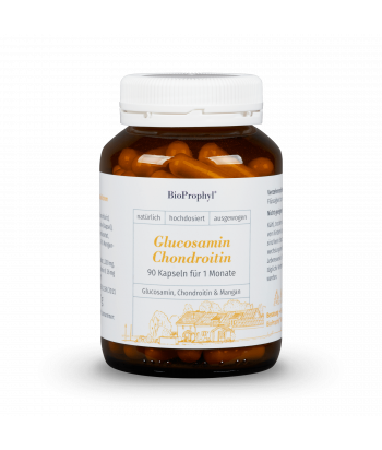 Gewrichtscomplex Glucosamine + Chondroitine