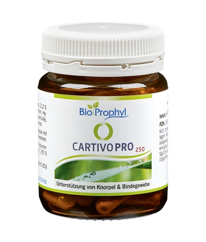 Cartivo-Pro 250
