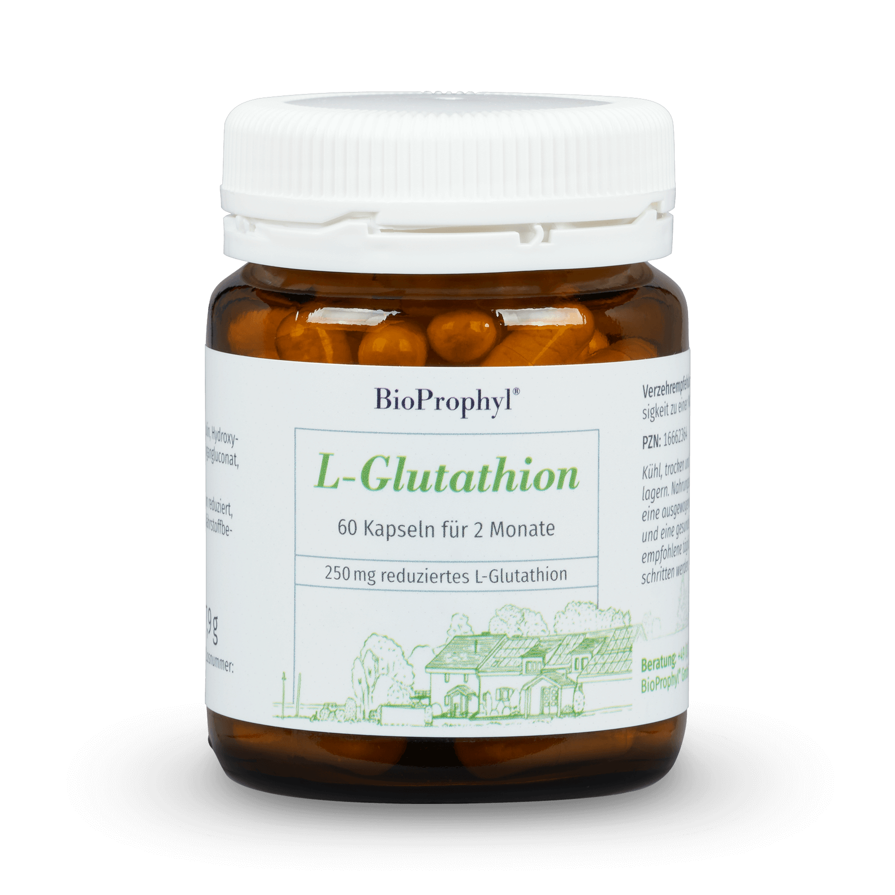 BioProphyl L-Glutathion G-SH 60 vegetarische capsules van 250 mg L-glutathion verminderd