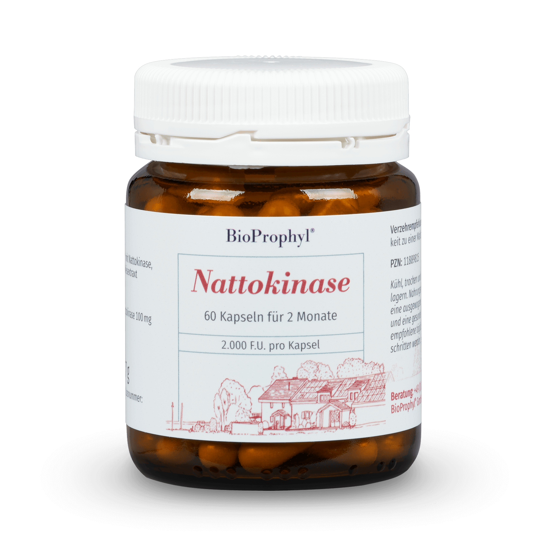 BioProphyl Nattokinase 60 vegetarische capsules met 100 mg nattokinase (2.000 FU)