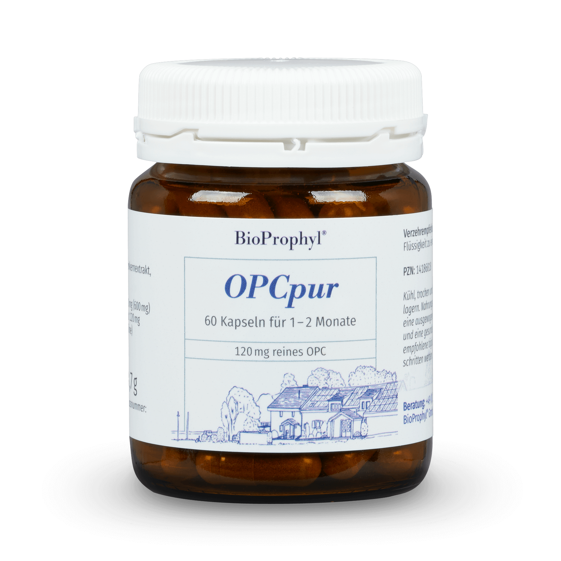 BioProphyl OPCpur 60 vegetarische capsules met 120 mg zuivere OPC per stuk
