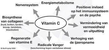 Functie van vitamine C